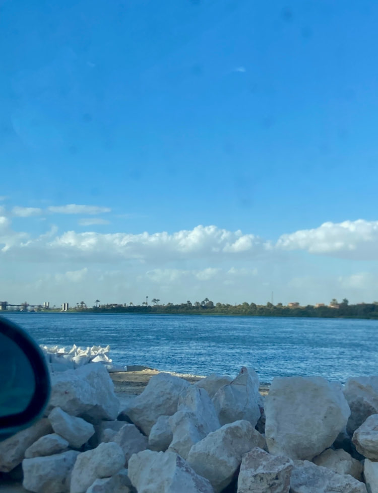 سلمى tweet media