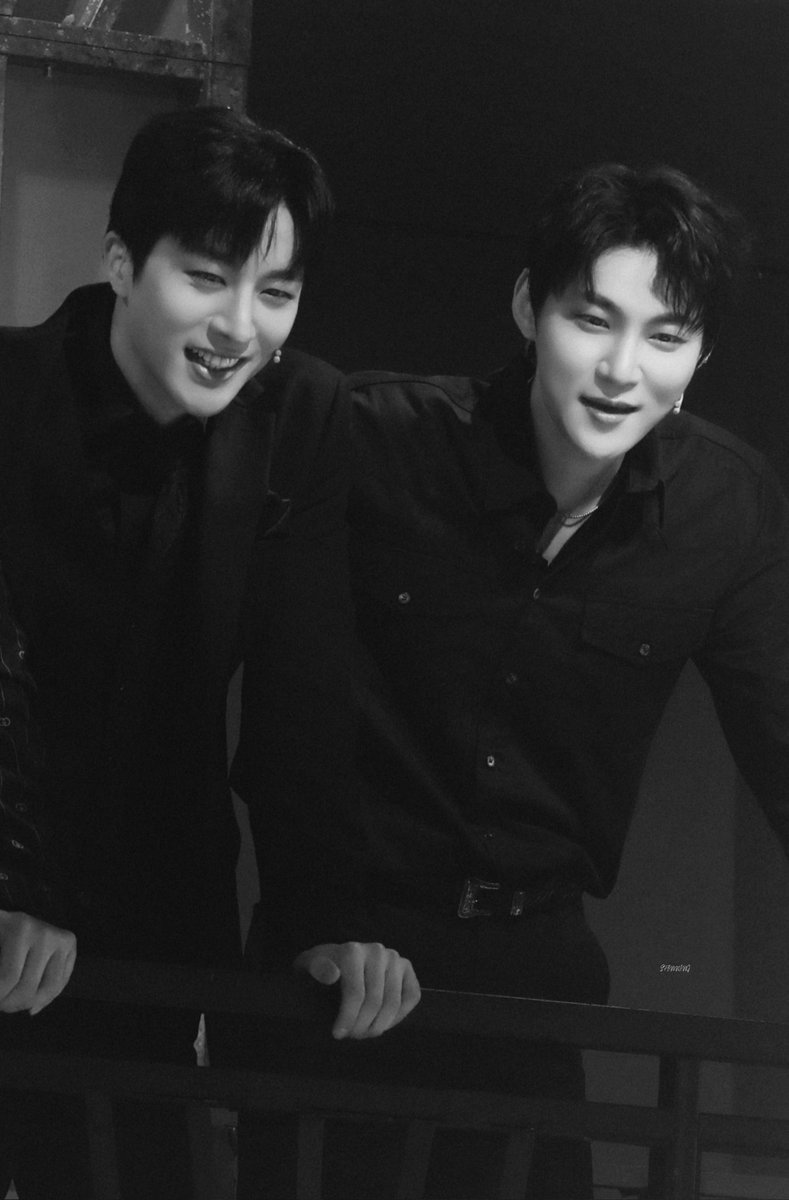 𝐒𝐏𝐈𝐍 tweet media