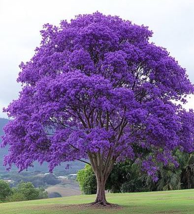 James R Us tweet media