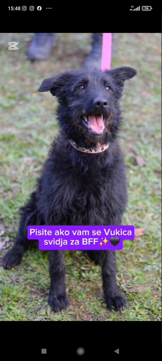 Bedno piskaralo🙈 tweet media