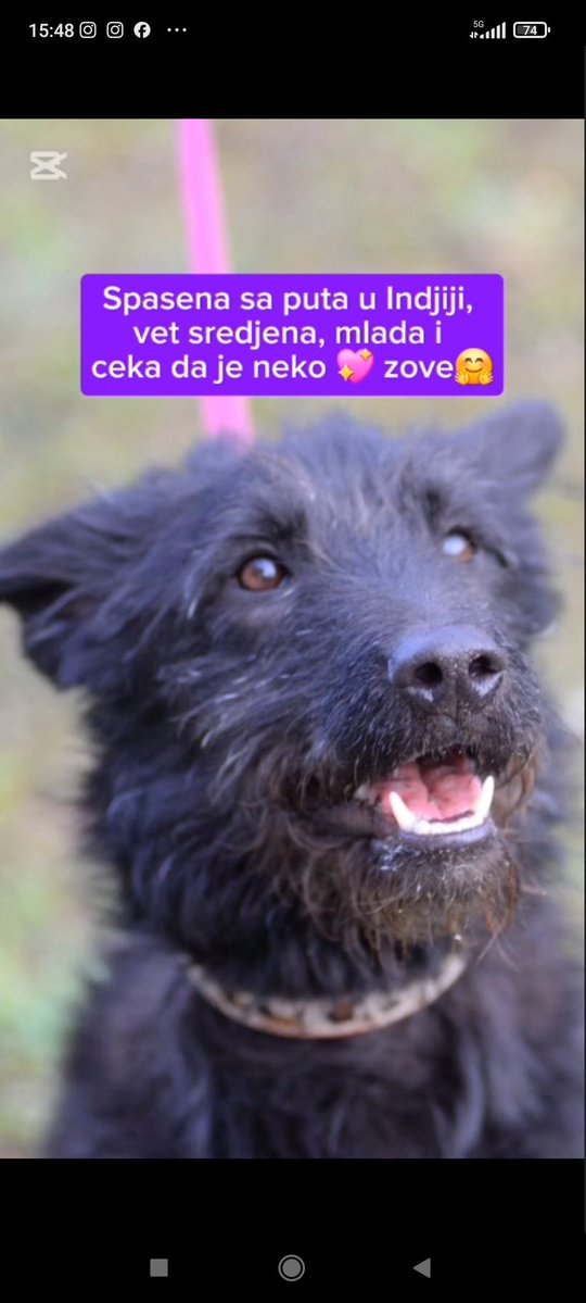 Bedno piskaralo🙈 tweet media