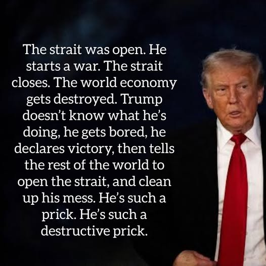 dave lawrence 🐟🐟🐠 tweet media