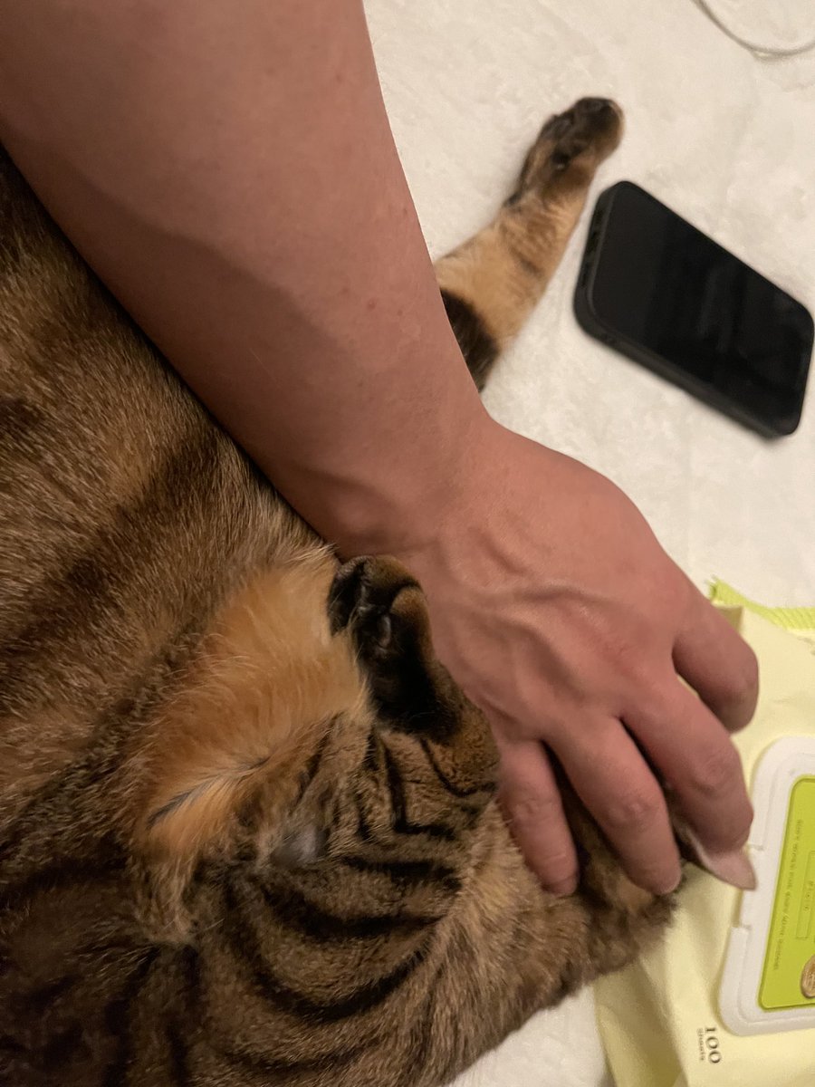 연상커플🙋🏻‍♀️ tweet media