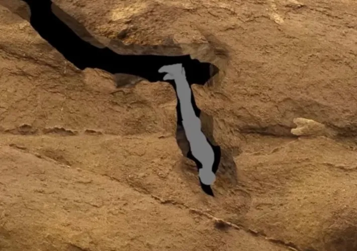 AAAAAAcer Valor tweet media