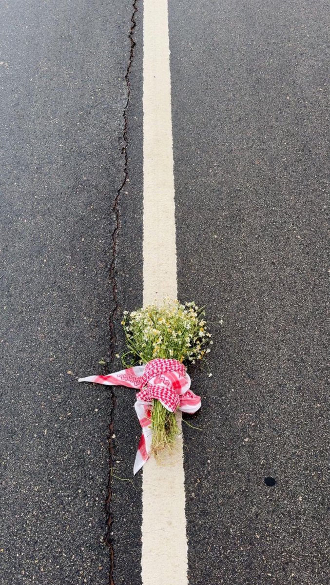 ✨إيفا المطيري ✨👸🏻🇸🇦 tweet media