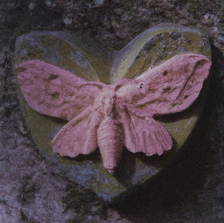 🦷 #1 grudges fan tweet media