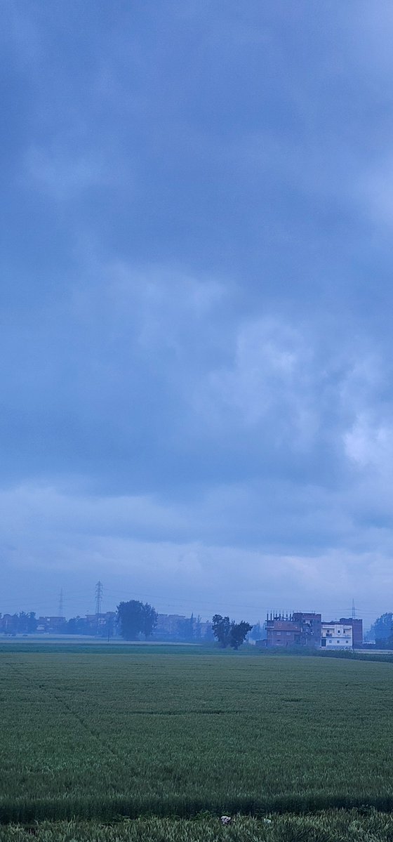 أحمد بركات || أبو عبدالرحمن tweet media