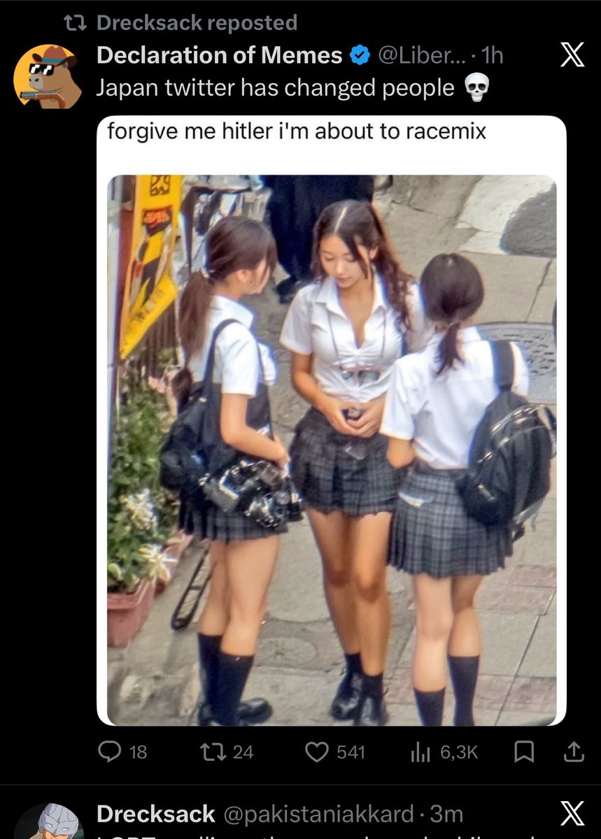 Maoist Seiun Sky 🩵📕🫡🇵🇸 tweet media