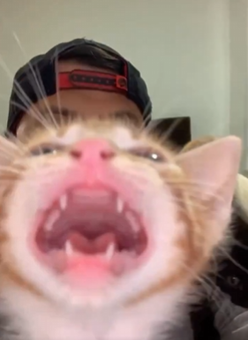 Who cares? tweet media