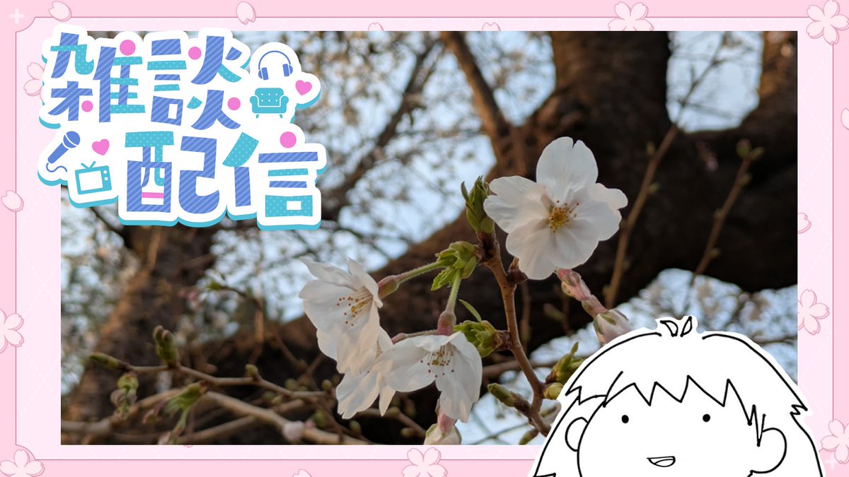 三宅麻理恵 tweet media