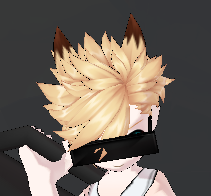 양서류 tweet media