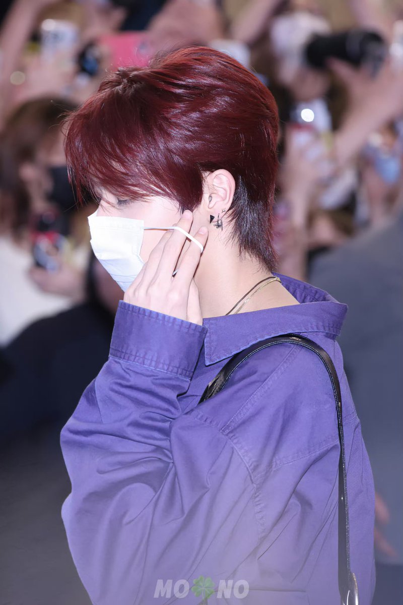 🐳🍉 tweet media