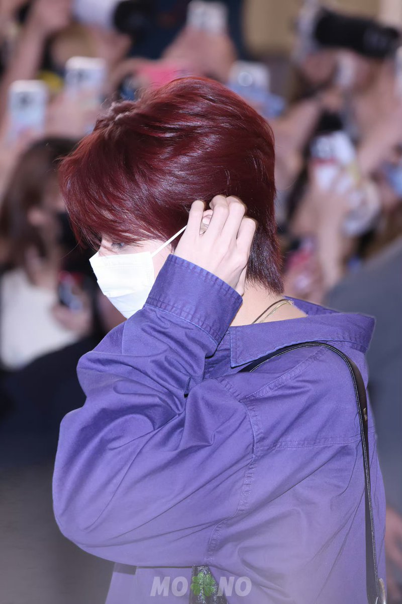 🐳🍉 tweet media