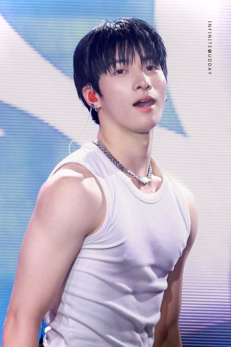 infinite6udday tweet media