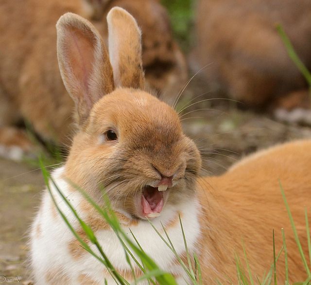 casy (i.a) tweet media