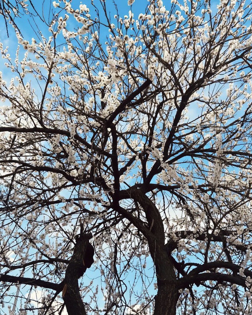 N£TİC£ tweet media