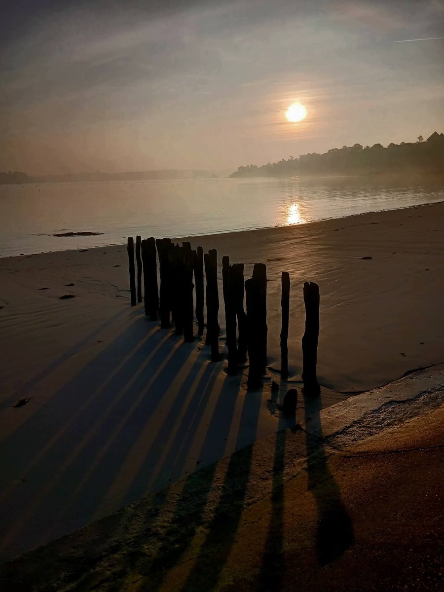 la manita 😇🍀🦁 tweet media