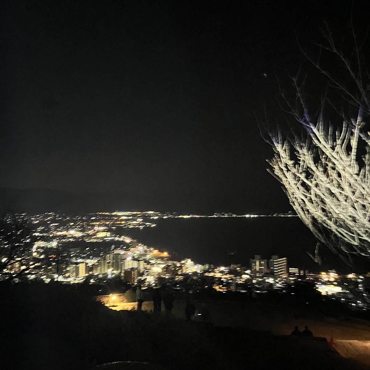 ことねん tweet media