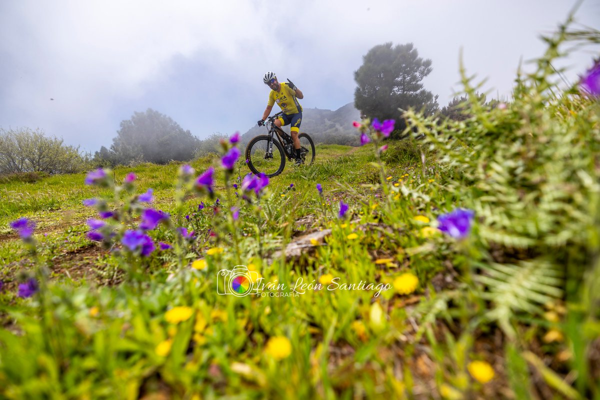 Iván León Santiago tweet media