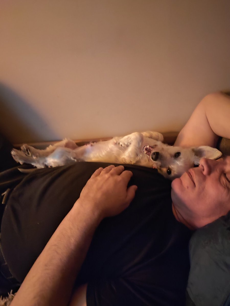 Bedno piskaralo🙈 tweet media