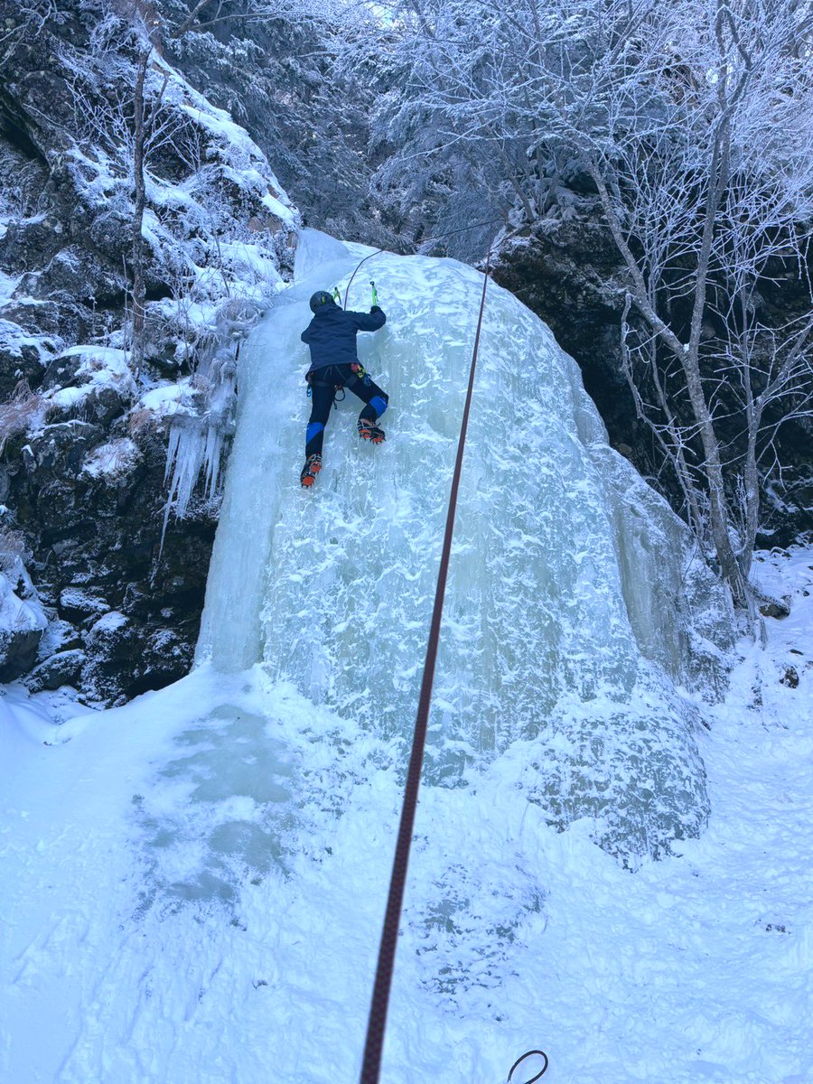 わっぺ🌱ヤマスス5th Peak(5期)熱望❗️ tweet media