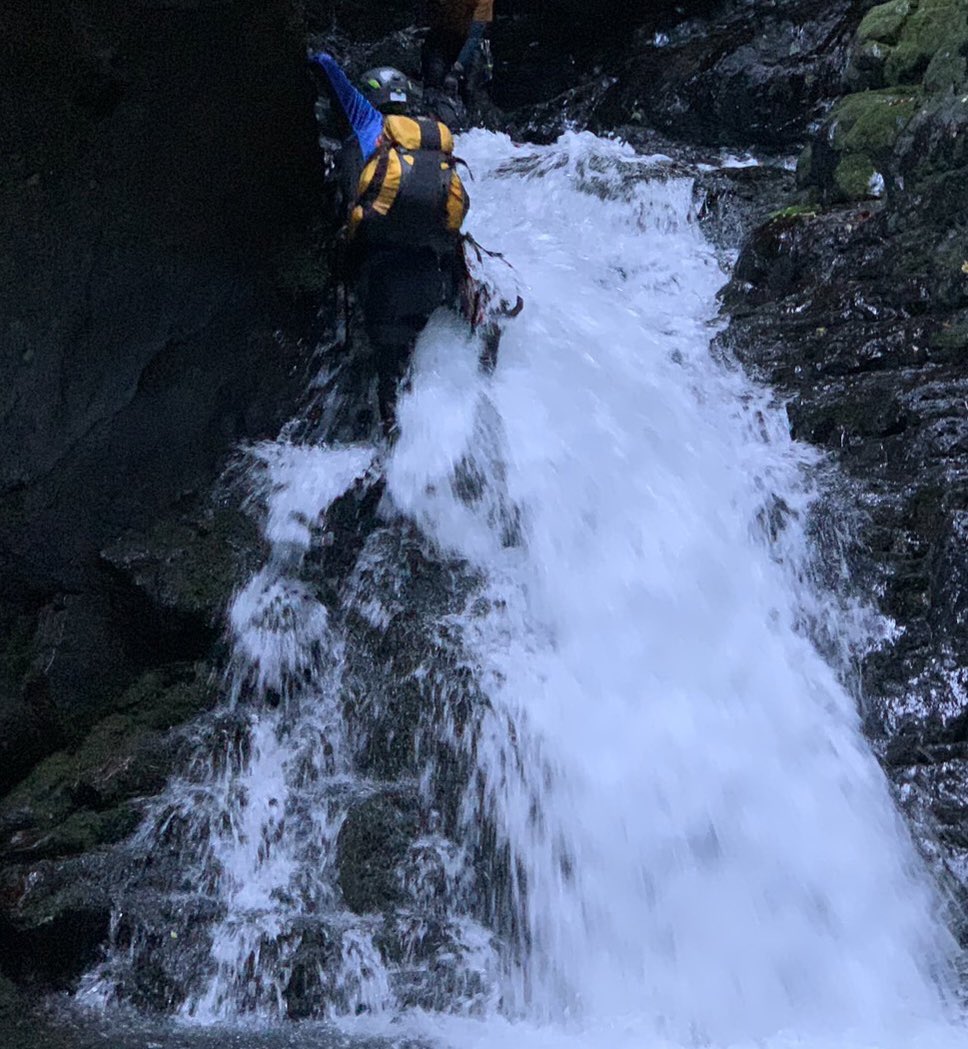 わっぺ🌱ヤマスス5th Peak(5期)熱望❗️ tweet media