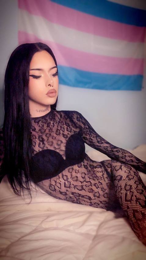 Hailie 🏳️‍⚧️ tweet media