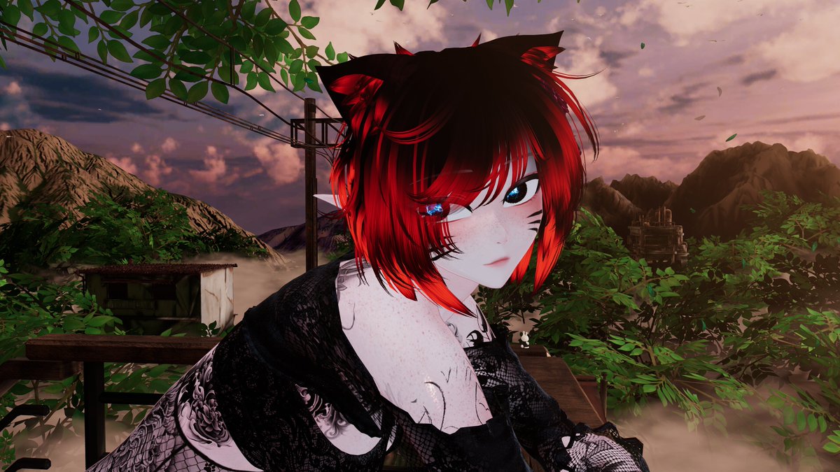 Chronicle tweet media