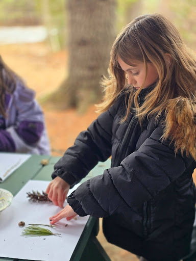 rsu18's tweet photo. On the first day of spring, Ms. Kimmie’s second graders at China Primary School headed into the forest and created their names using natural materials. It was a creative and hands-on way to celebrate the changing season. #WeAreRSU18 #CPSdragons
https://t.co/gPxJdAZlFt https://t.co/LEMUoNcJjj