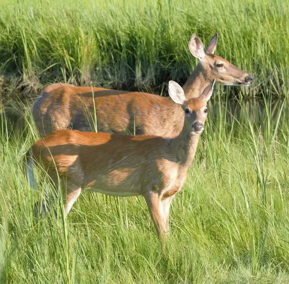 Nina Tomlinson tweet media