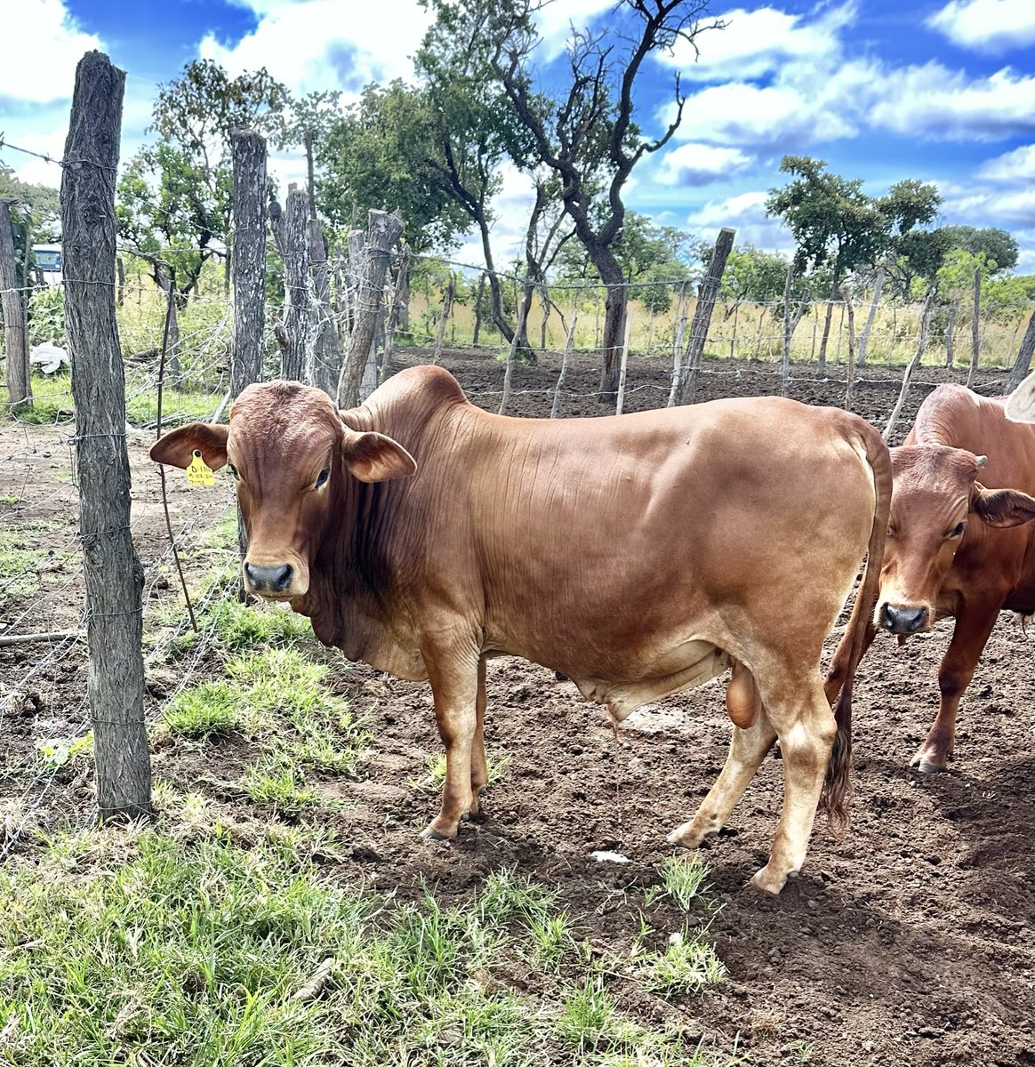 Klipranch tweet media