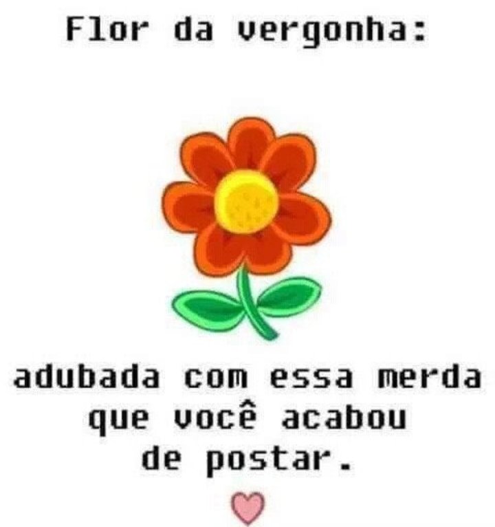 taylor cruzeirense tweet media