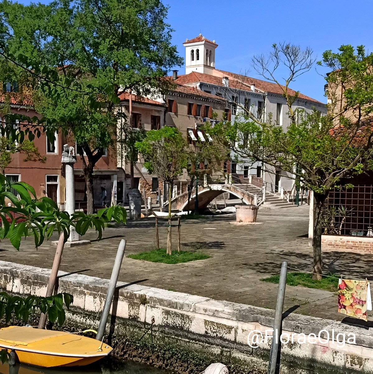 Flora e Olga 🏳 tweet media