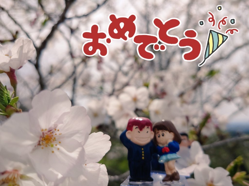 ﾁｬﾝ tweet media