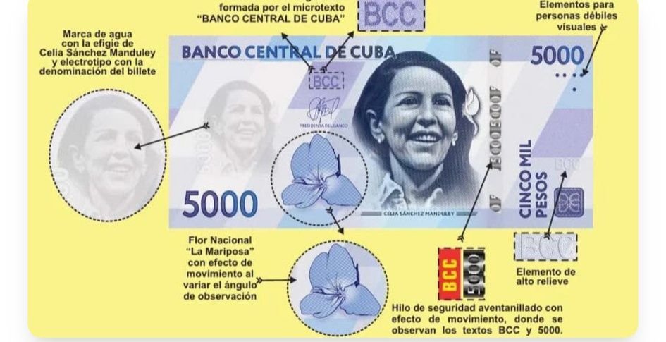 Frank El Makina tweet media