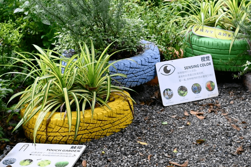 criss25exy's tweet photo. " This Sat: Community Garden Cleanup + Plant Swap! Bring gloves, take home free veggies/seeds. Meet at the garden gate @ 10AM. Let’s green our space together!  #NeighborlyVibes" https://t.co/uVLDAdBfEb