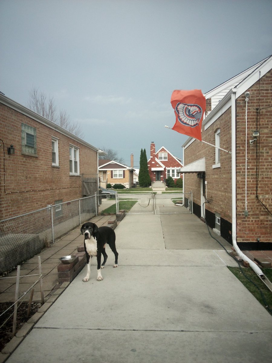 Igor's Locks tweet media