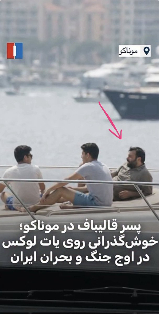 میمون مست tweet media