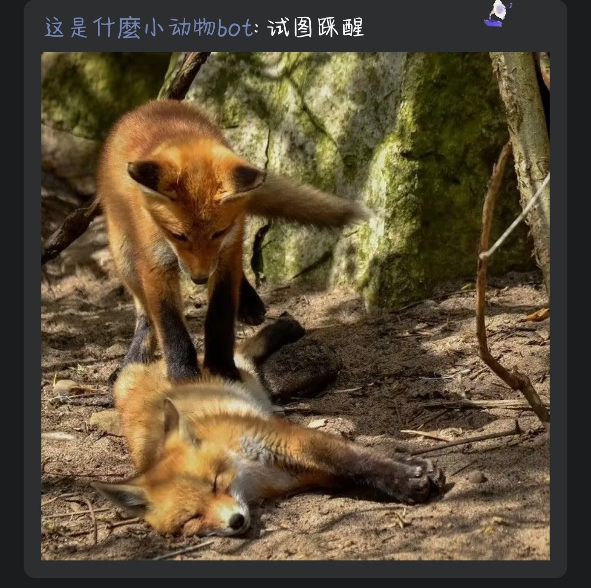 Ekaaaaaa tweet media