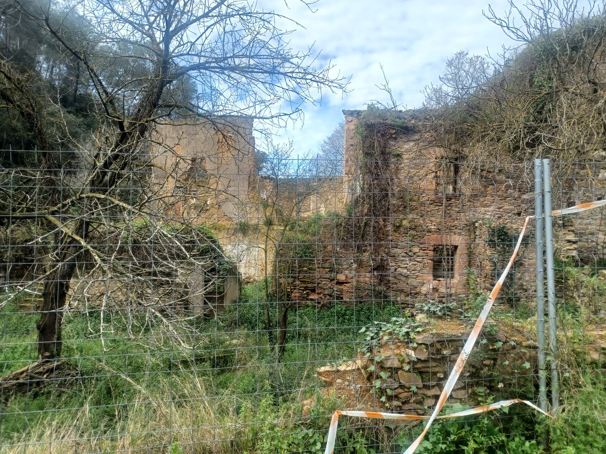 collserolejant tweet media