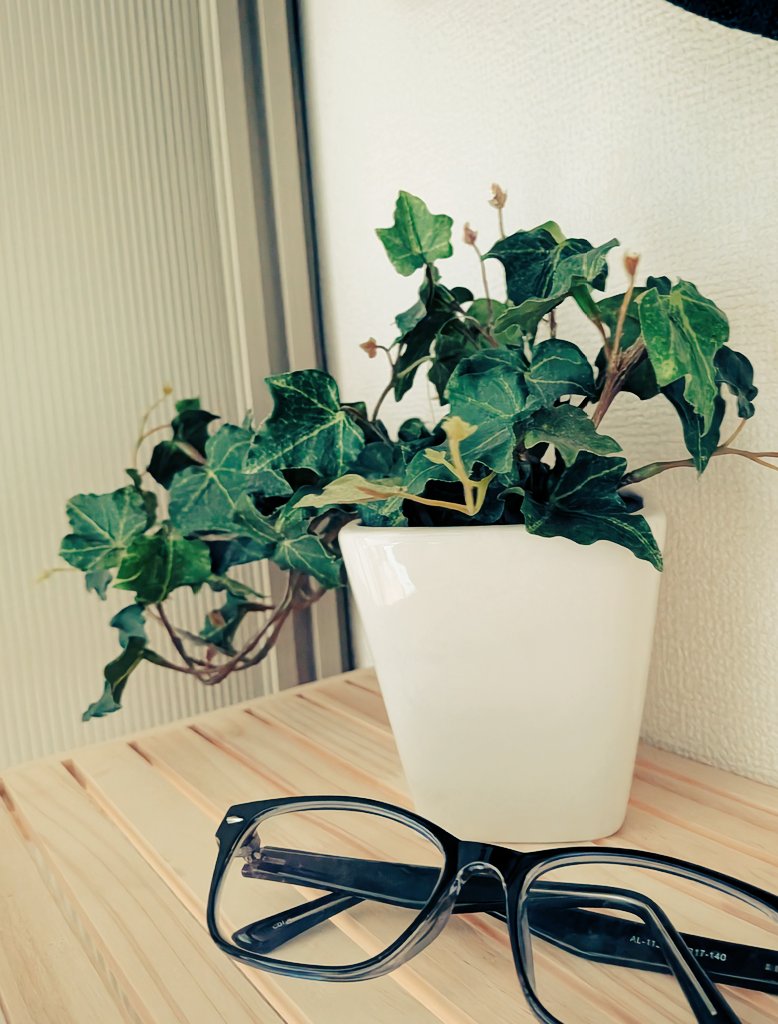 れふぃ tweet media