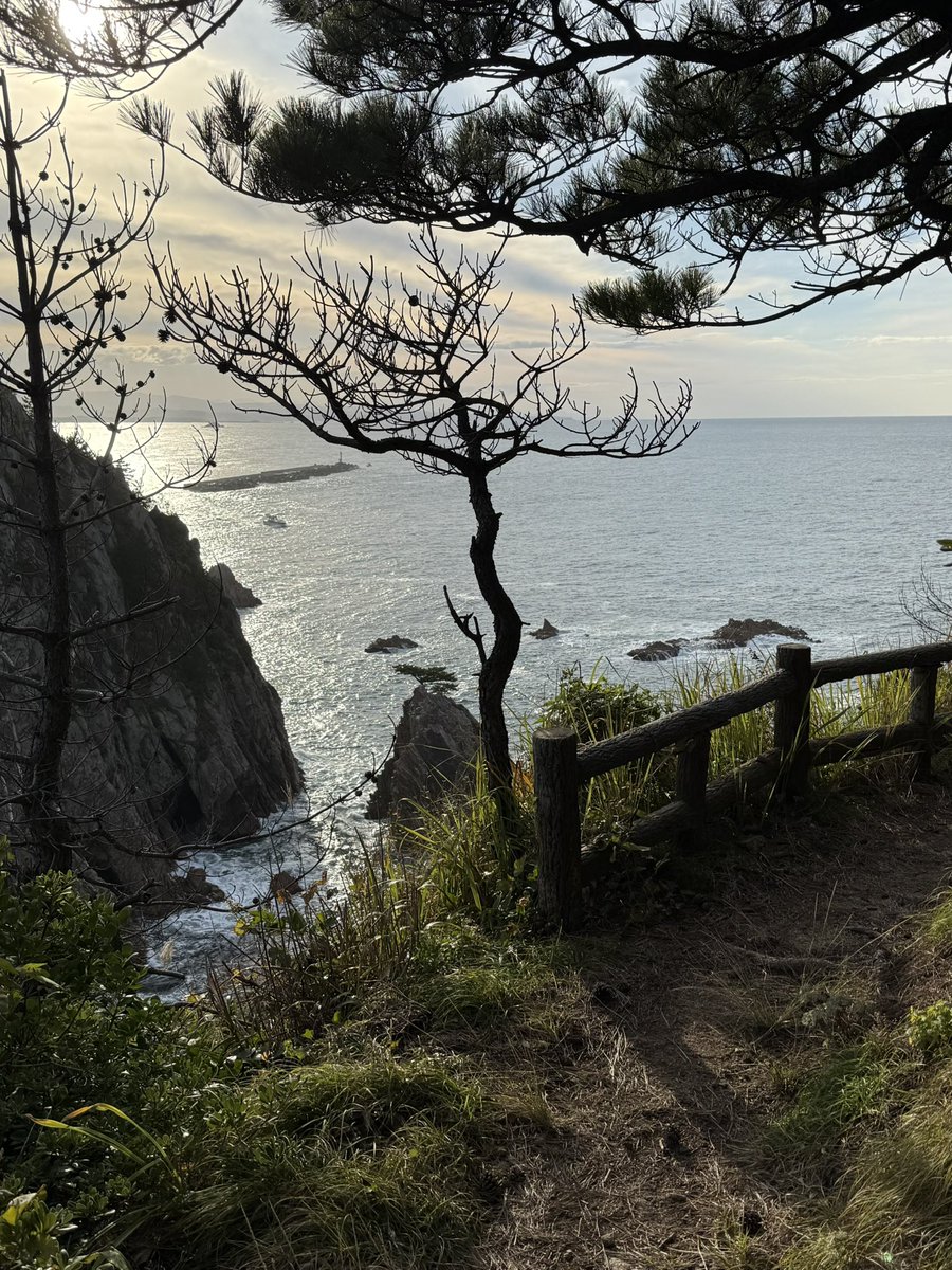 Dennis J Hansen tweet media