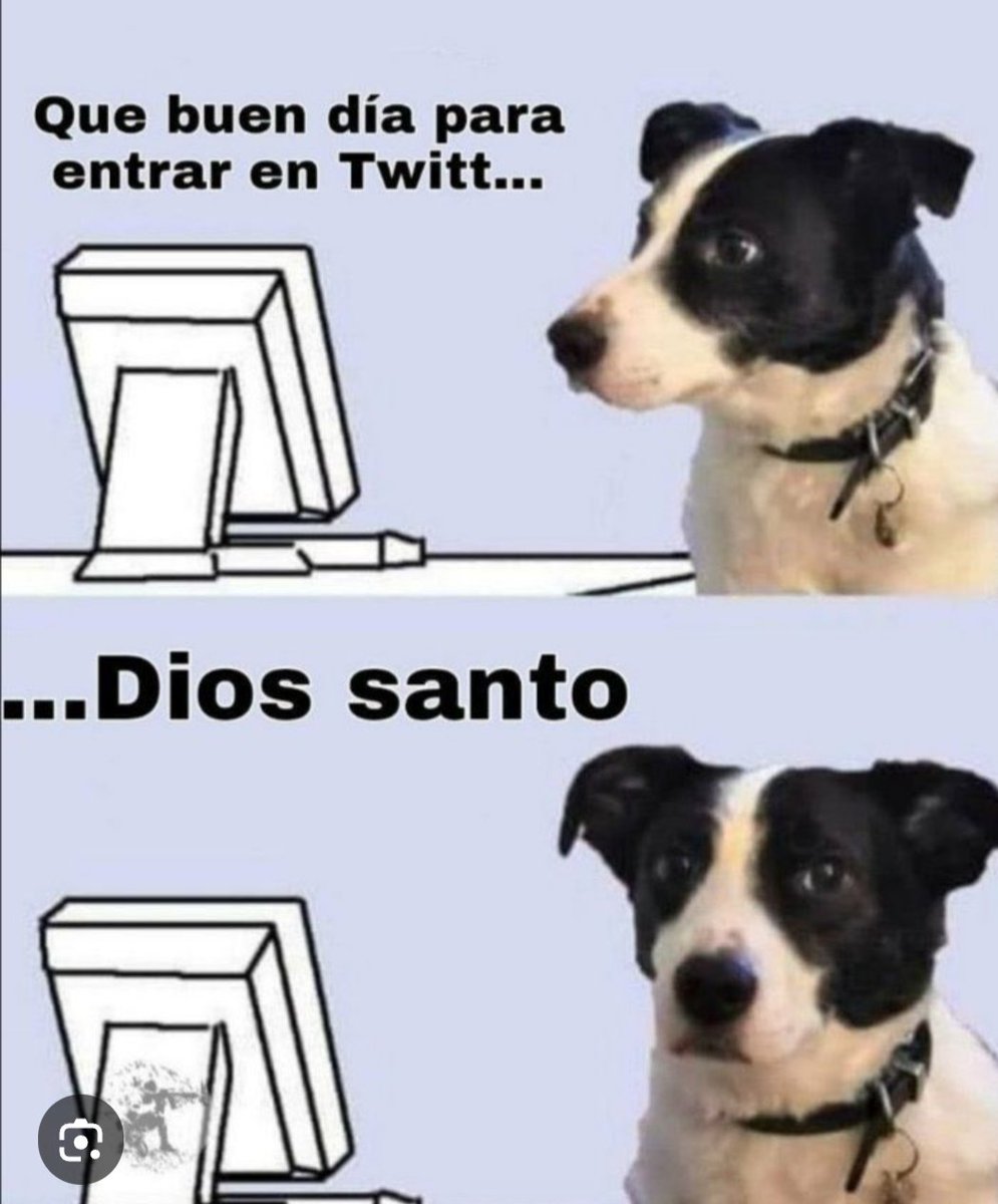 Mike Charro tweet media