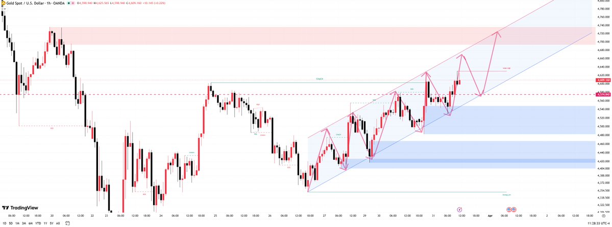 Mary Taylor tweet media