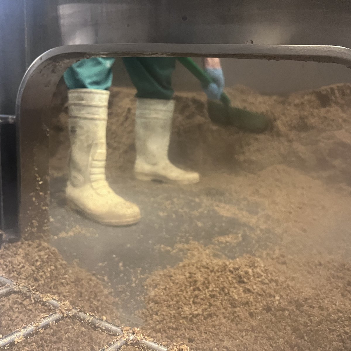 Hogs Back Brewery tweet media