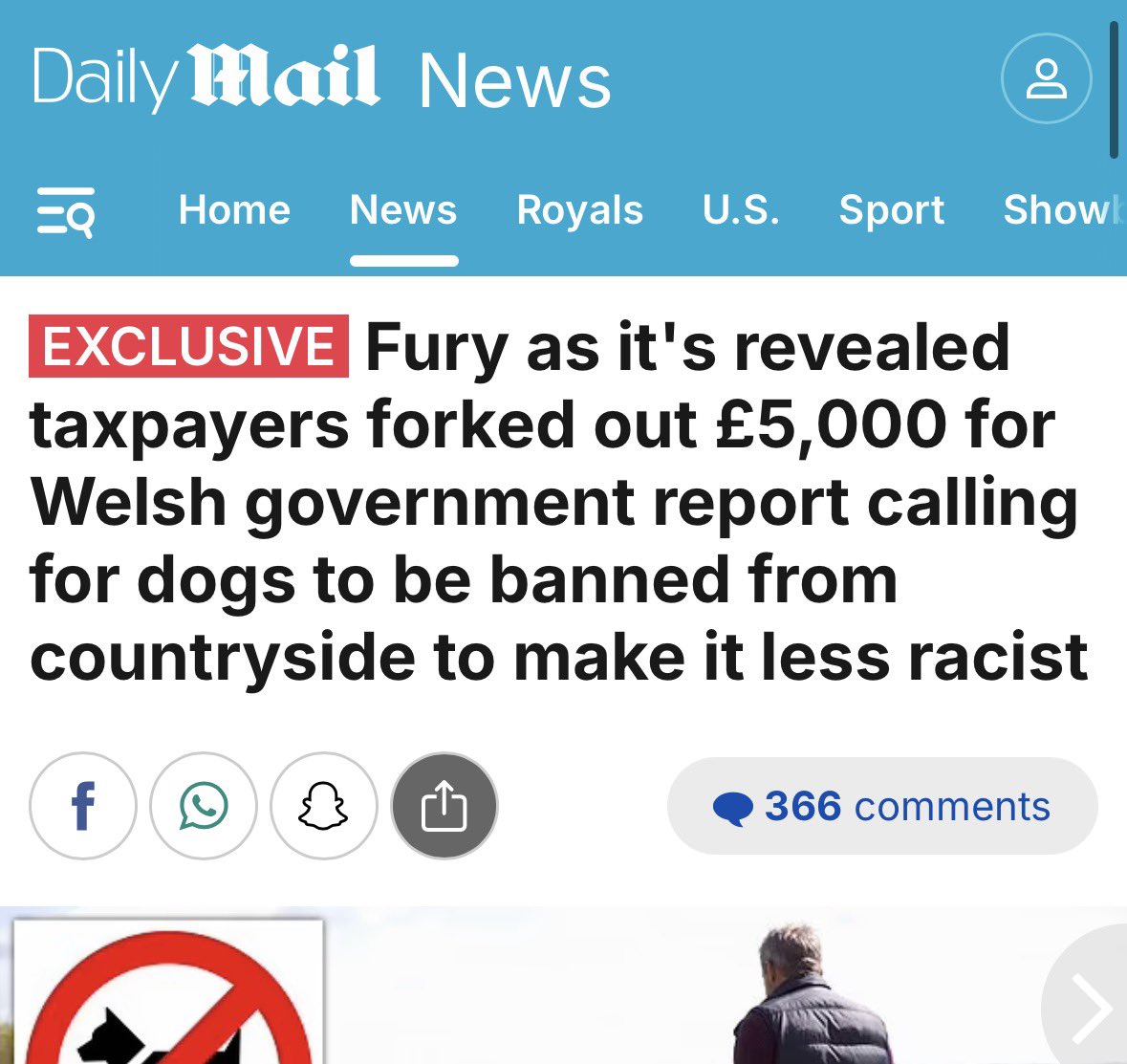 Elisheva Abramson 🇮🇱🌴 tweet media