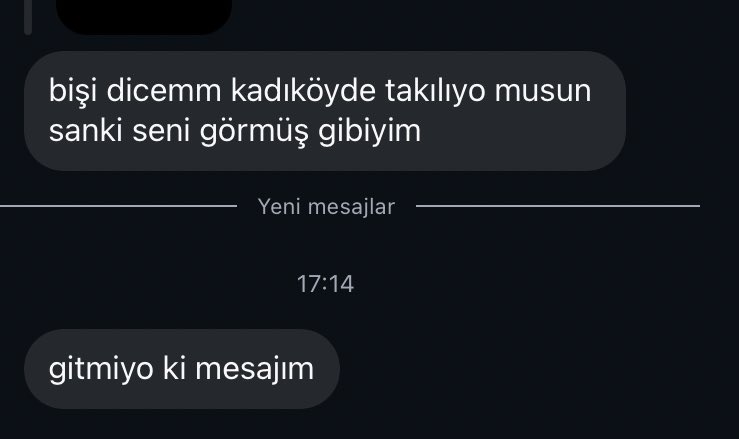 istanbulda yaşayan birine kadıköyü sormak=sizin evde tuvalet var mı diye sormak