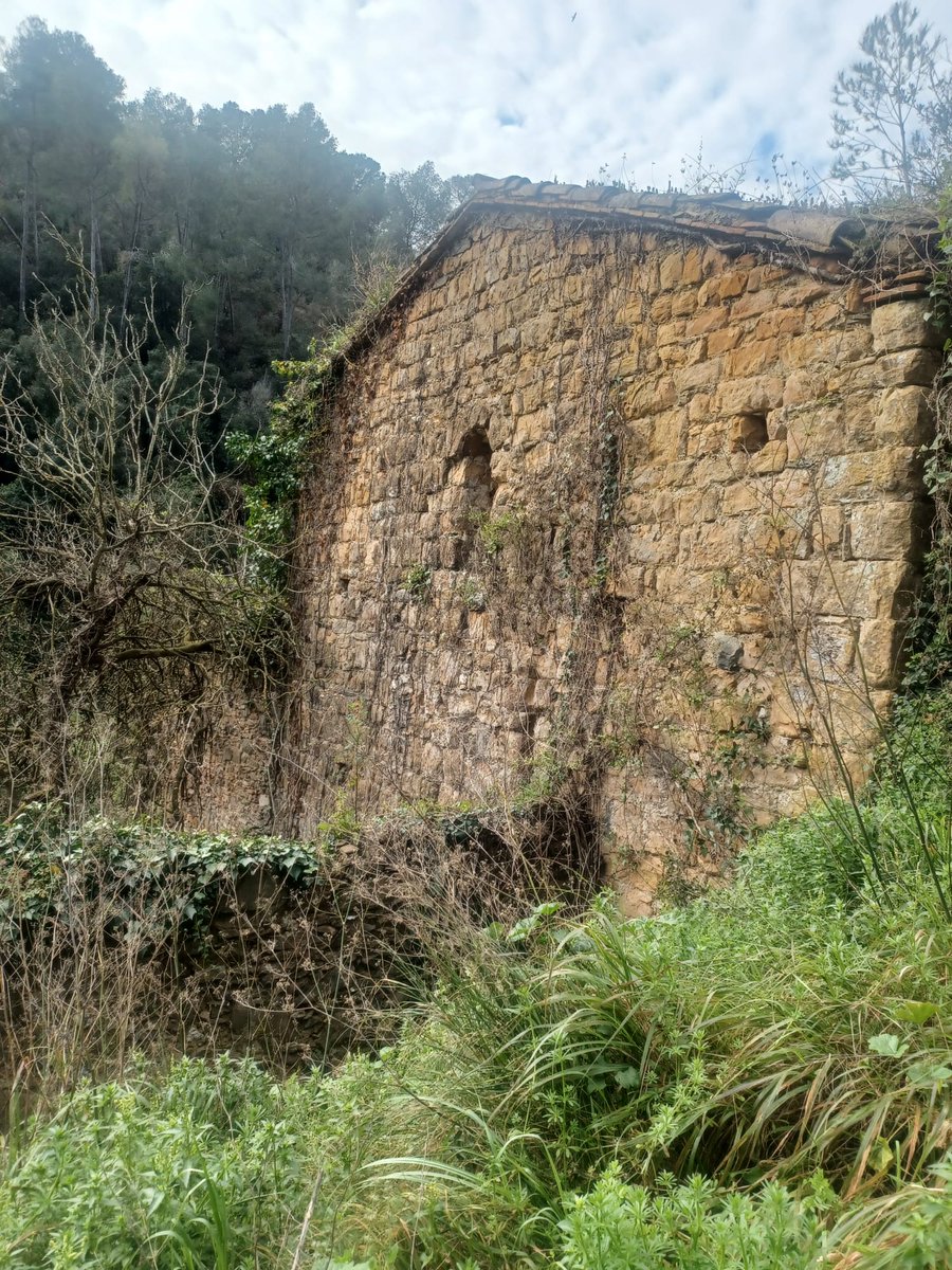 collserolejant tweet media