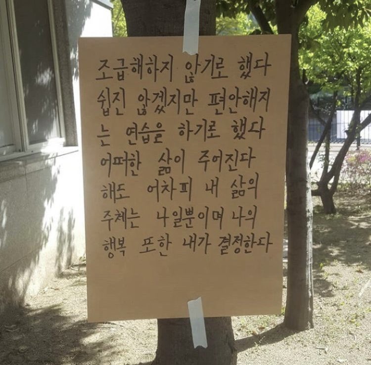 ᵗᵒᵐᵃ 𓐐𓎩 .⋆ﾟ tweet media