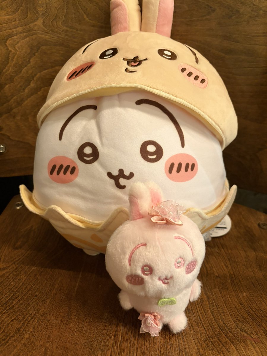 どらみ tweet media